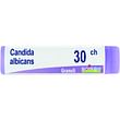 Candida albicans 30ch globuli