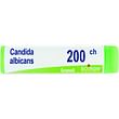 Candida albicans 200ch globuli