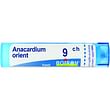 Anacardium orientalis 9 ch granuli